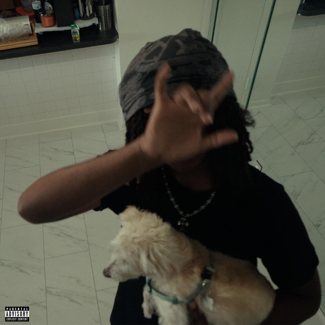 Pet