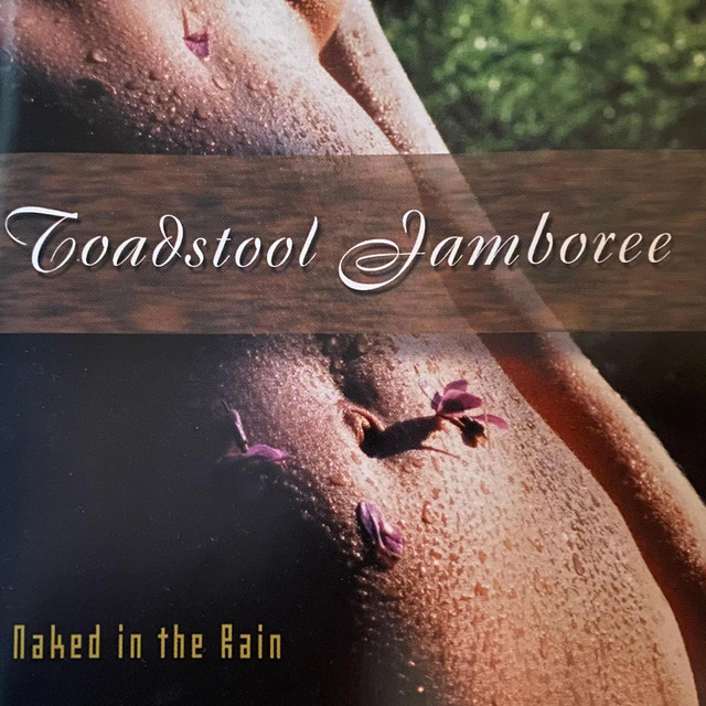 Naked in the Rain cover art