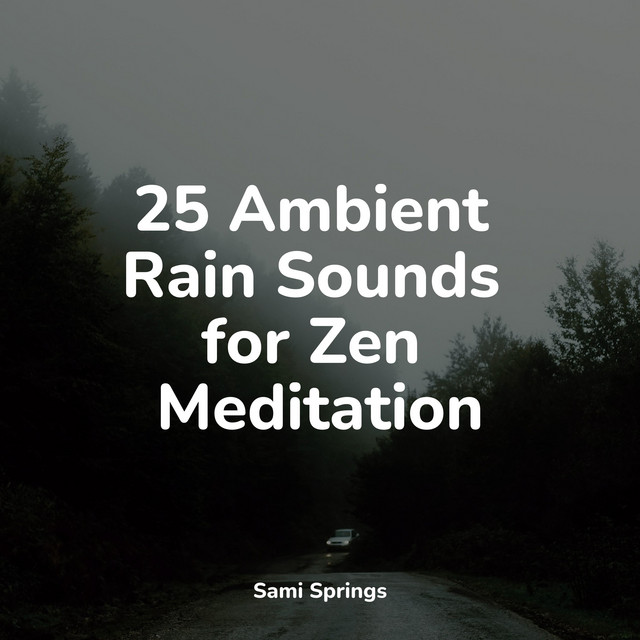 25 Ambient Rain Sounds for Zen Meditation - Album by Baby Sweet Dream ...