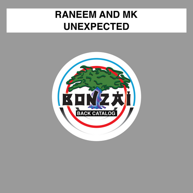 Unexpected - Raneem Mix cover art