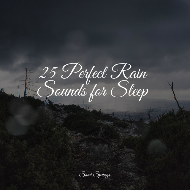 25 Perfect Rain Sounds for Sleep - Album by Rainy Sounds | Spotify