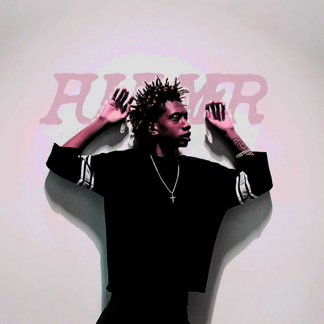 PUHLAYERA cover art