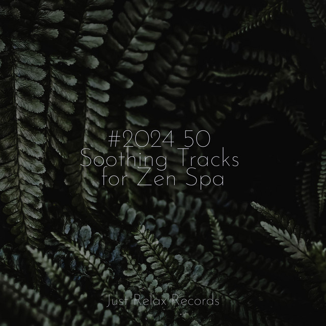 #2024 50 Soothing Tracks for Zen Spa - Album by Sleepy Night Music ...
