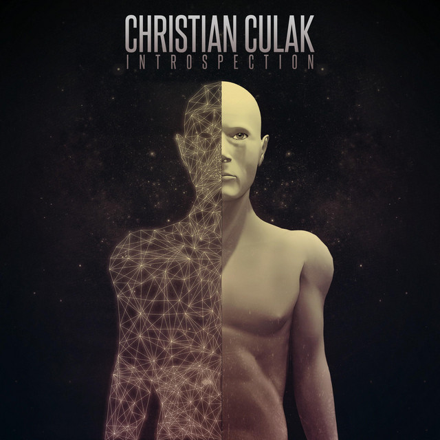 Introspection cover art