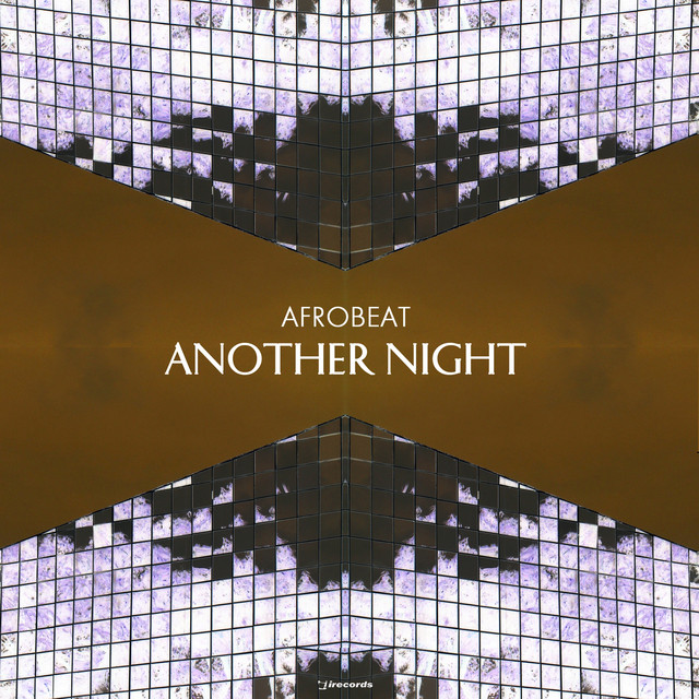 Another Night - Animal Picnic Remix cover art
