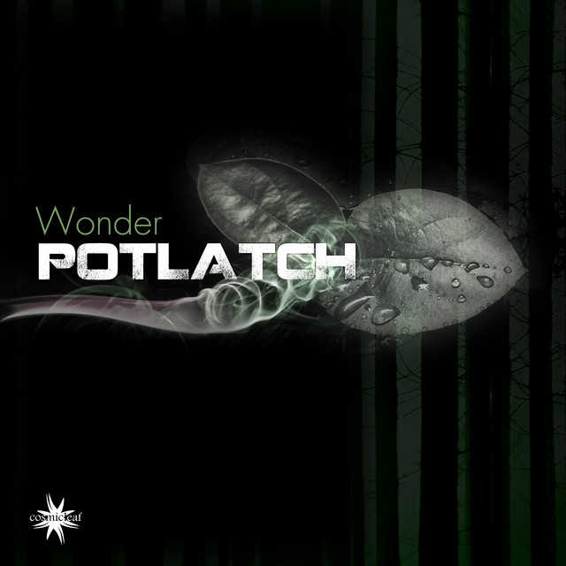 Wonder cover art