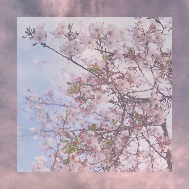 Whisper cover art