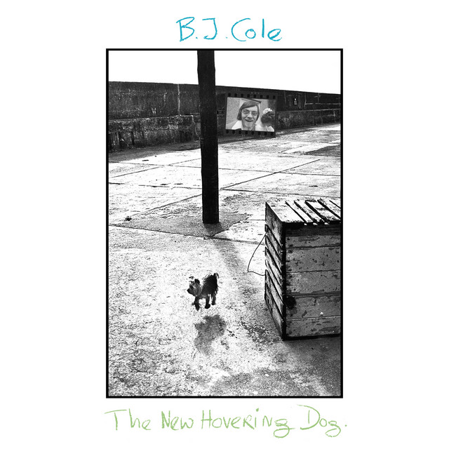 The New Hovering Dog cover art