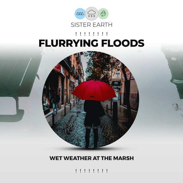 Flurrying Floods Wet Weather at the Marsh ! ! ! ! ! ! ! ! - Album by Sound