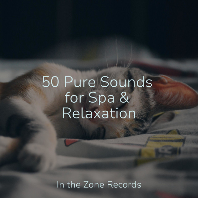 50 Pure Sounds for Spa & Relaxation - Album by Musica Romantica ...