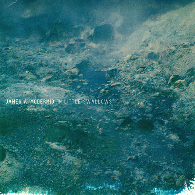In Little Swallows cover art