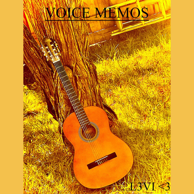 VOICE MEMOS cover art
