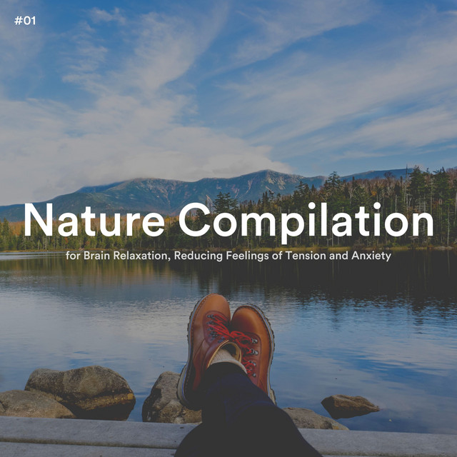 #01 Nature Compilation for Brain Relaxation, Reducing Feelings of Tension and Anxiety