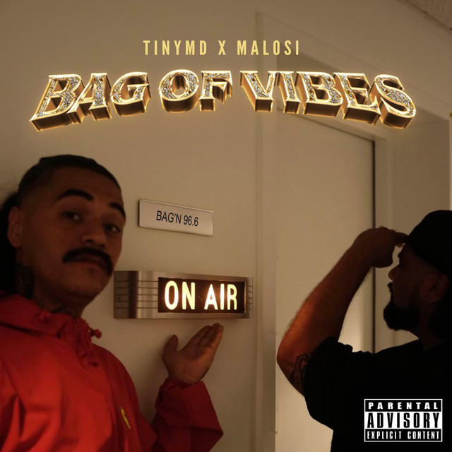 Bag Of Vibes cover art