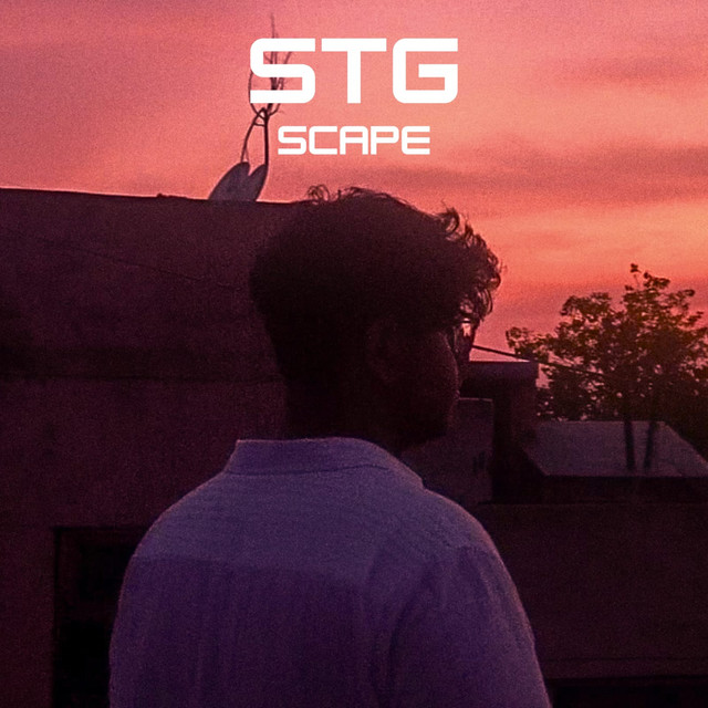 STG cover art
