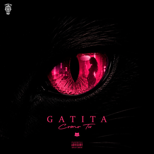 Gatita Como Tu