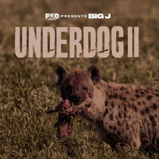 Underdog ll cover art