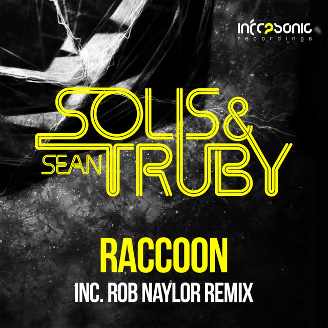 Raccoon album art