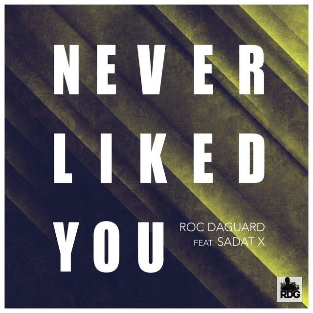 Never Liked You