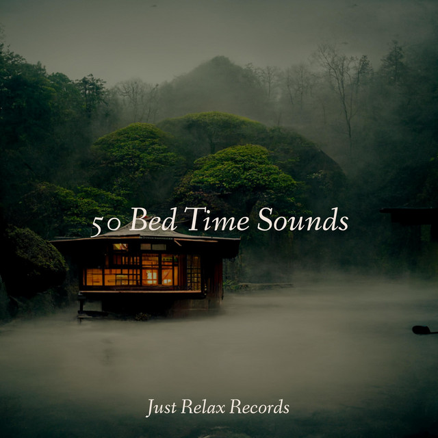 50 Bed Time Sounds cover art