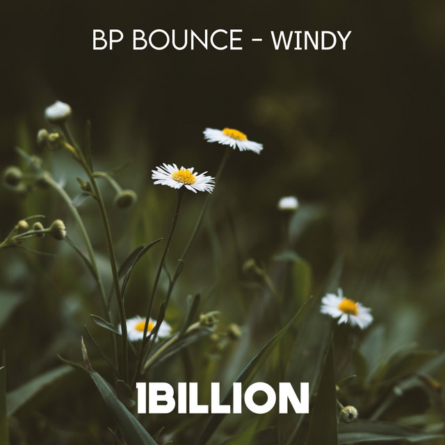 Windy cover art