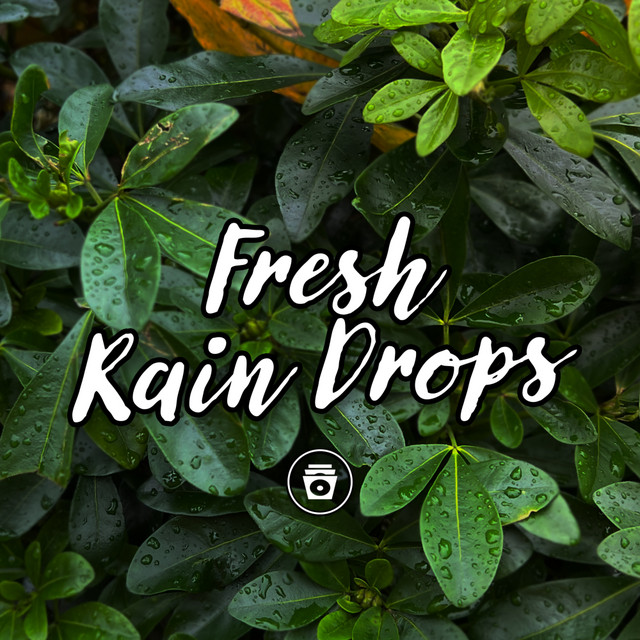 Fresh Rain Drops cover art