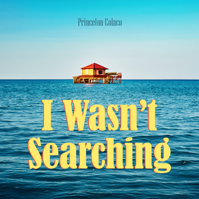 I Wasn't Searching cover art