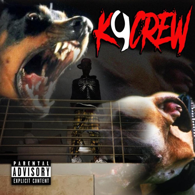 K9 Crew - song and lyrics by Sickboyrari | Spotify