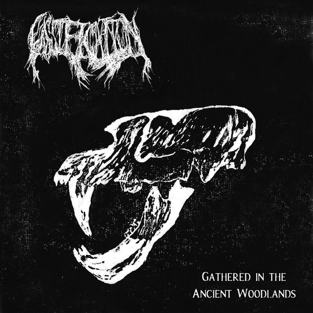Gathered in the Ancient Woodlands cover art