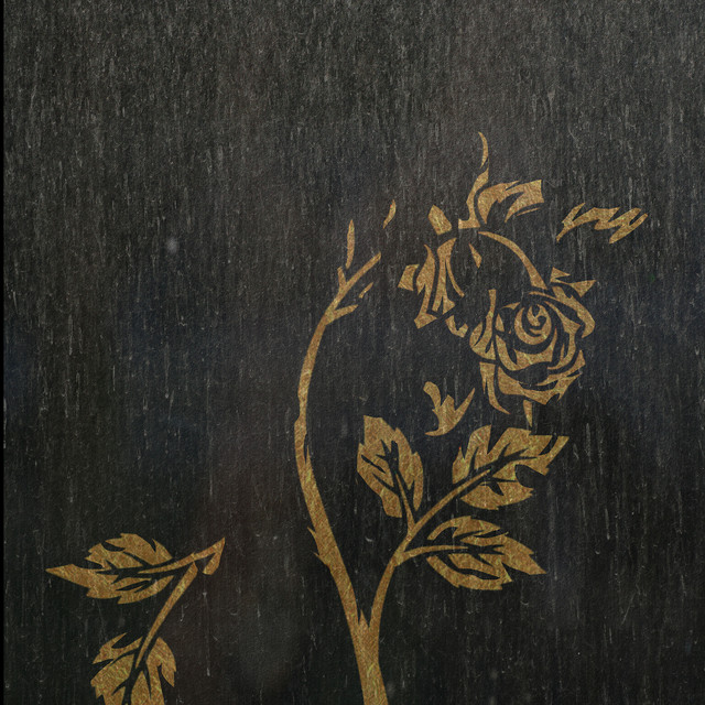 Dead Roses cover art