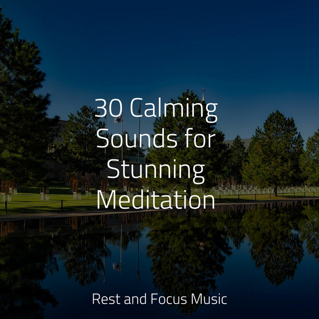 Zen Spa Sounds | Sleep - Album by Relaxing Nature Music | Spotify