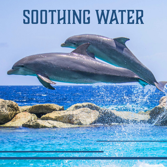 Healing Songs Of Dolphins And Whales