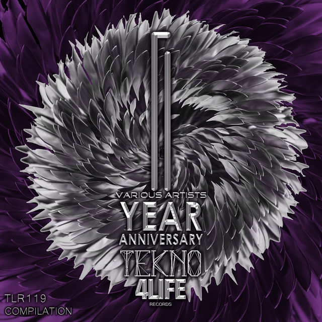 V.A. - 1 Year of Tekno4Life Records Compilation cover art