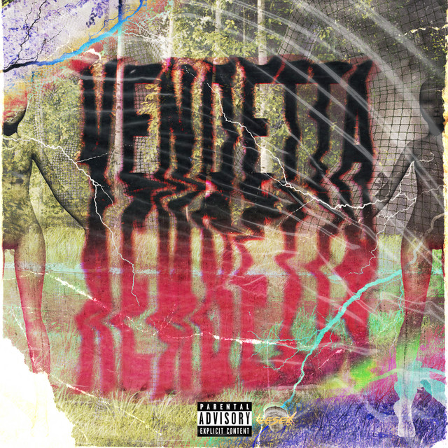 Vendetta cover art