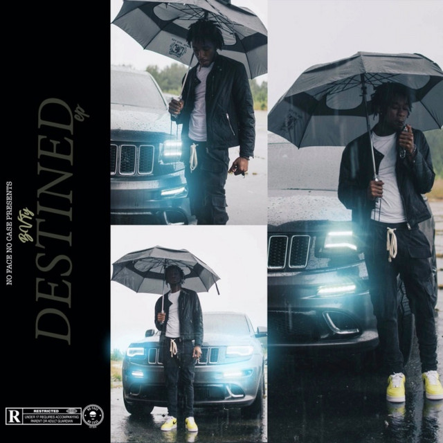 Destined cover art