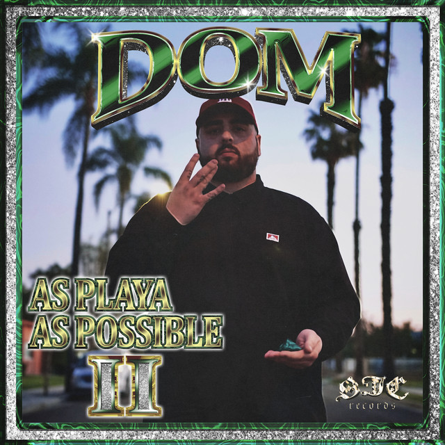 As Playa As Possible 2 cover art