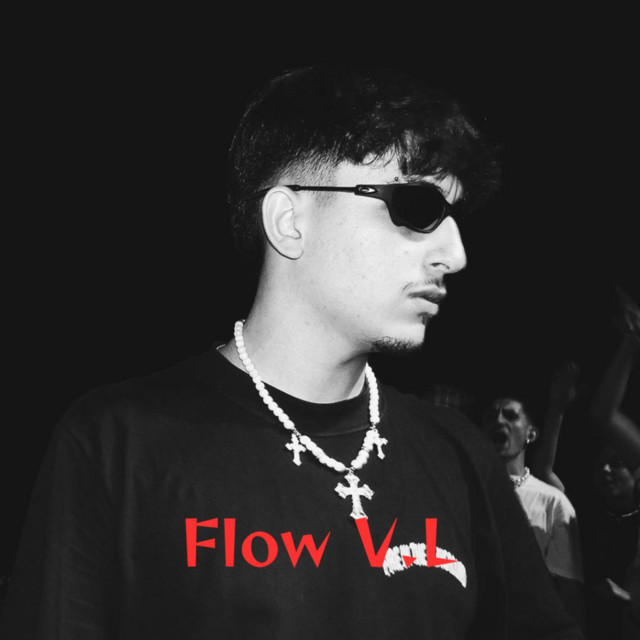 Flow V.L cover art