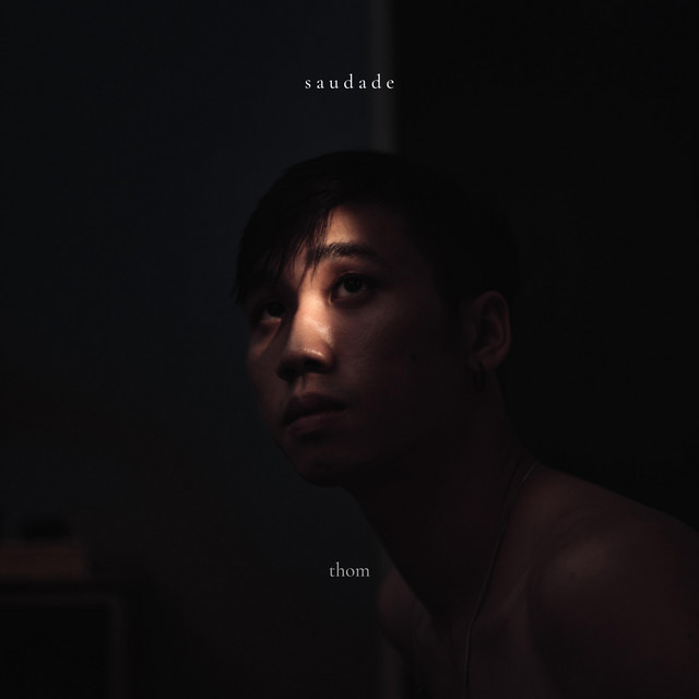 Saudade cover art