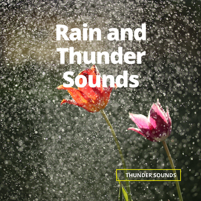 Rain and Thunder Sounds cover art