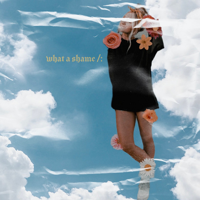 what a shame/: cover art