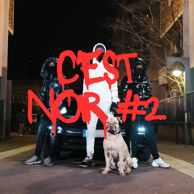 C'est noir #2 cover art