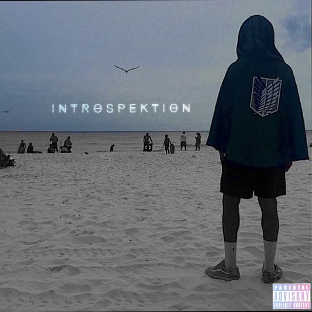 Introspektion cover art