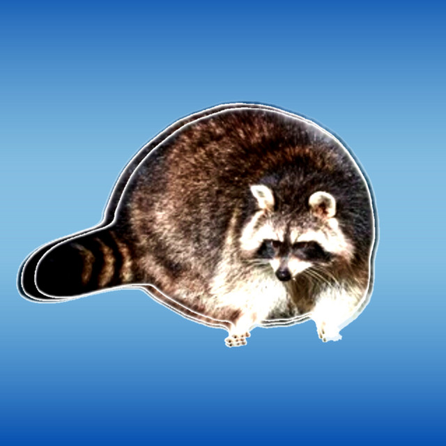 MAPACHE. cover art