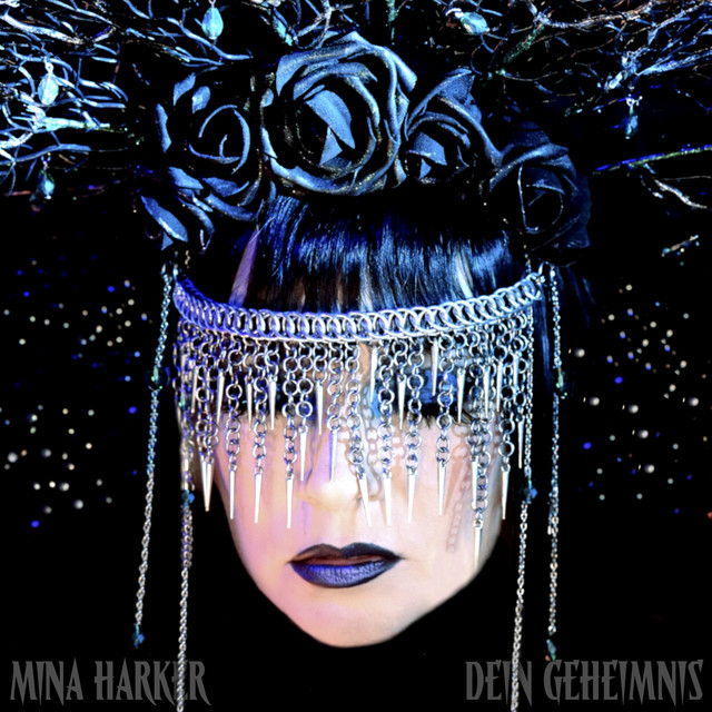 Dein Geheimnis cover