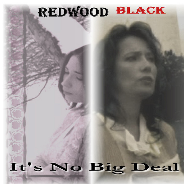 It's No Big Deal - song and lyrics by Redwood Black | Spotify