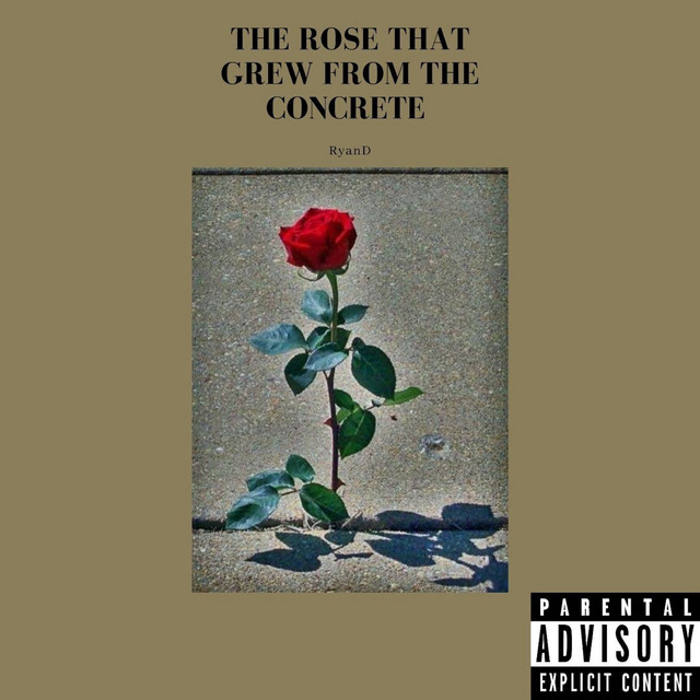 The Rose That Grew from the Concrete cover art