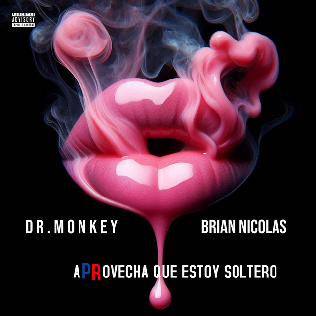 Dr Monkey