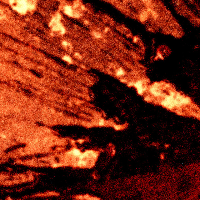 BLEED cover art