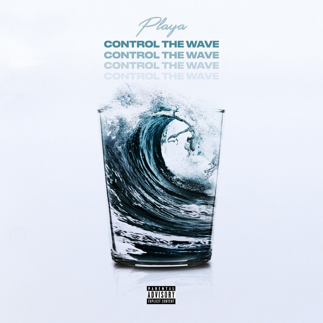 Обкладинка: Control the Wave — PLAYA