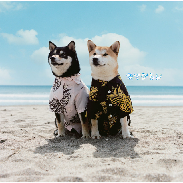 リメンバー cover